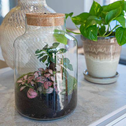 'LOVE MOM' Terrarium Little Milky + gravierter Kork mit Licht - Flaschengarten DIY Set - Ø 17 cm ↑ 25 cm - Muttertag