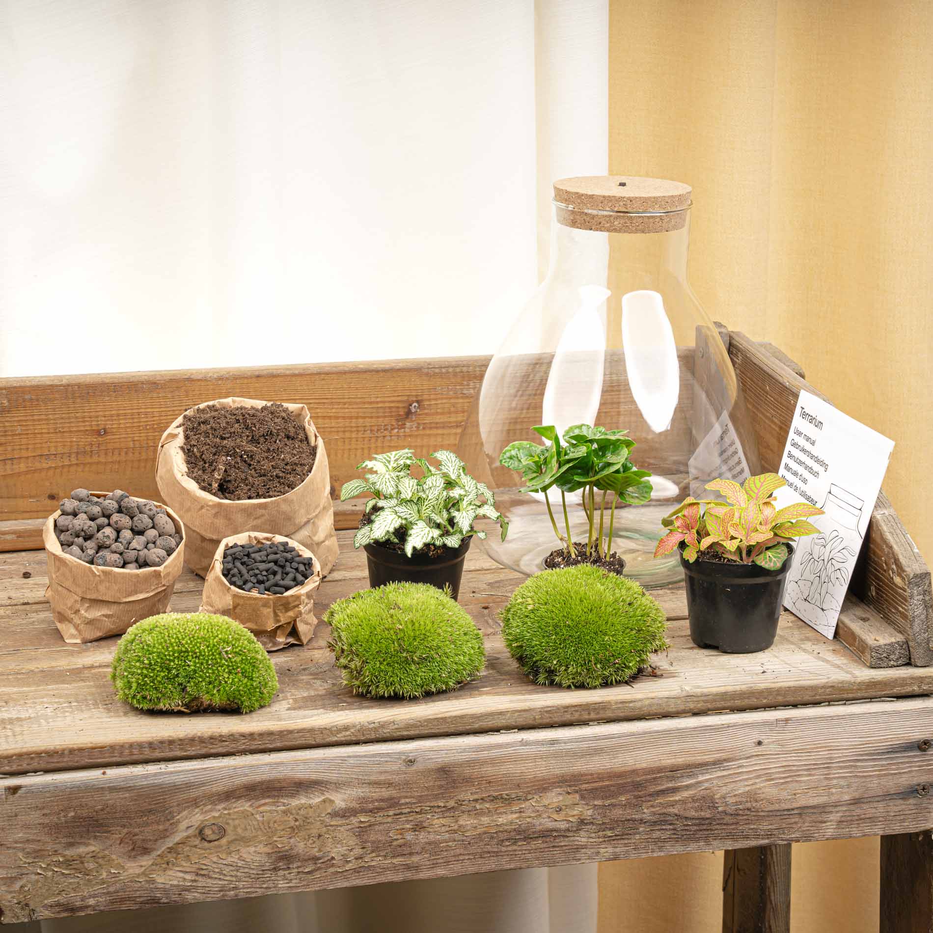 homemade plant terrarium DIY Terrarium Kit - Create your own mini Ecosystem