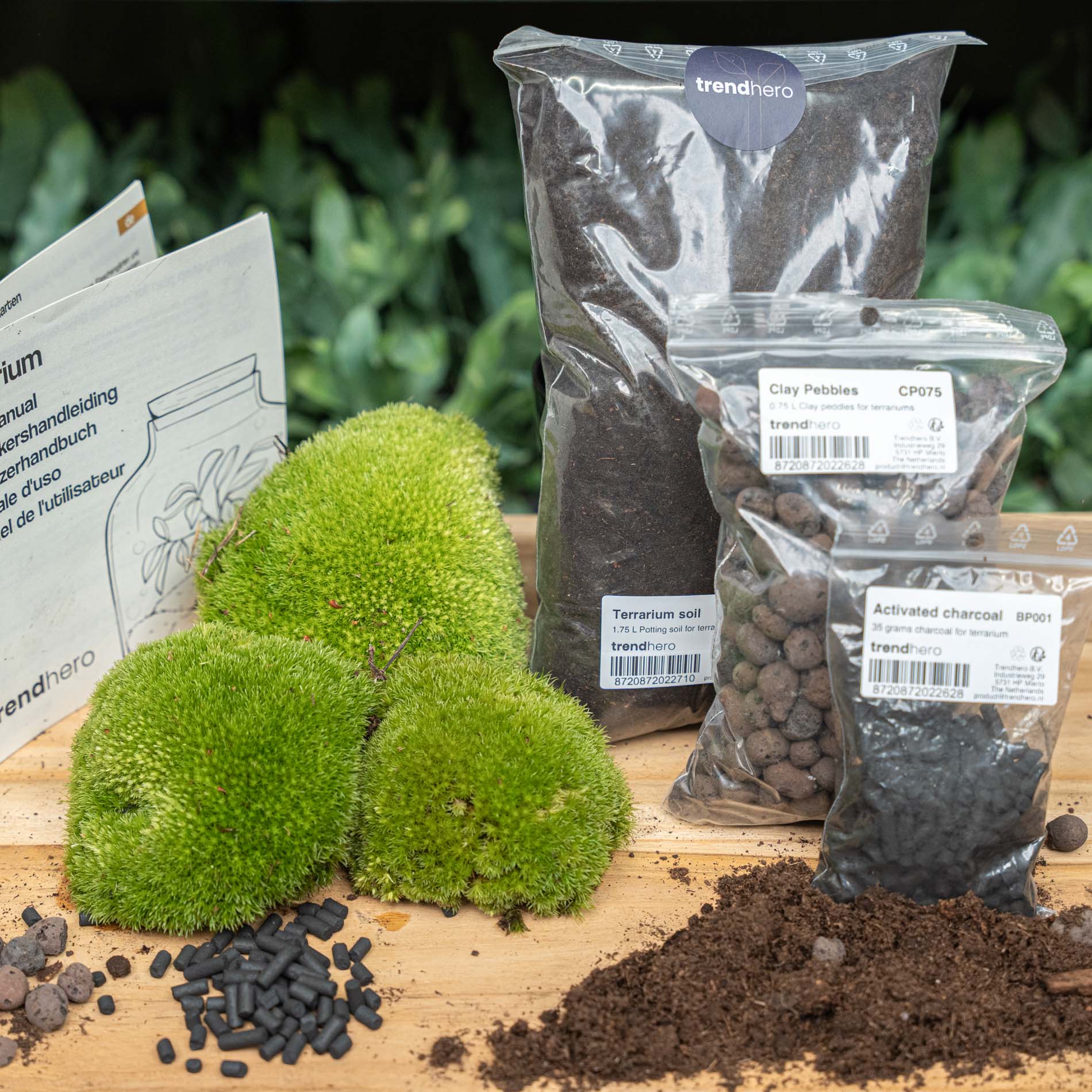 terrarium plant kit uk Terrarium Package – Refill & Starter Package – DIY Terrarium Kit – Siz – urbanjngl.com