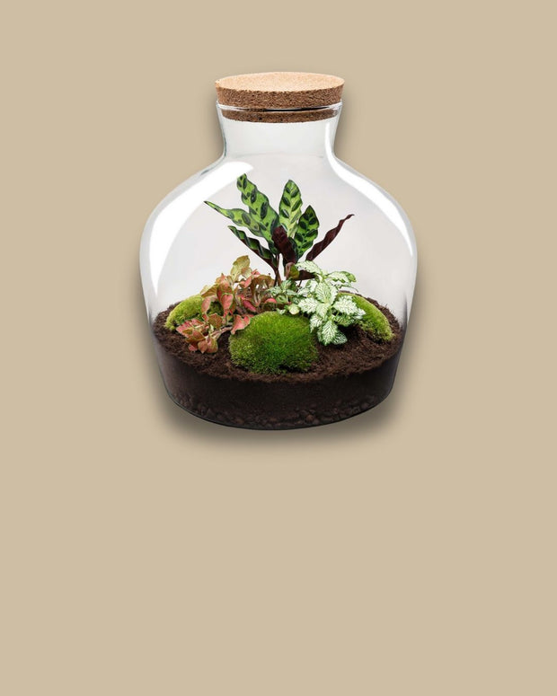 DIY-Terrarium