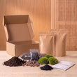 Planten terrarium - Navulling - Startpakket - DIY - Maat L/XL