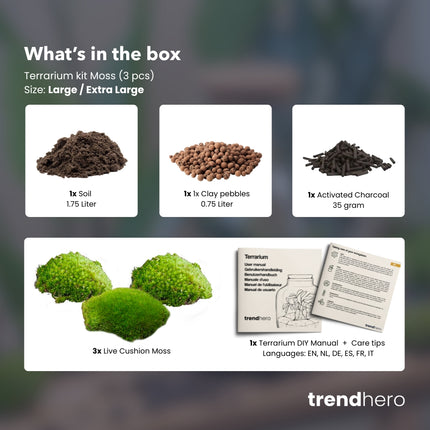 Pflanzenterrarium – Nachfüllset – Starterset – DIY – Größe L/XL
