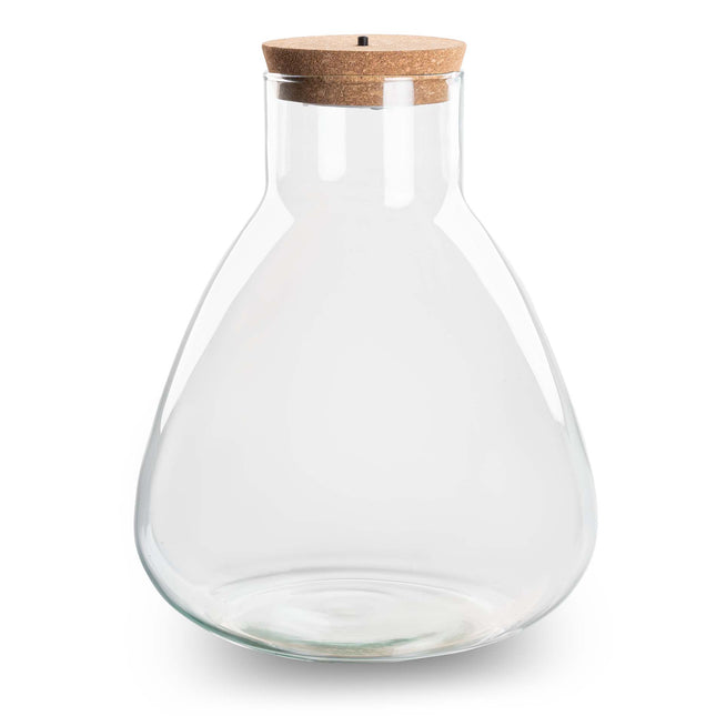 Terrarium bottle 'Sam' - Incl. LED cork - Closed terrarium Ø 24.5 cm ↑ 30 cm