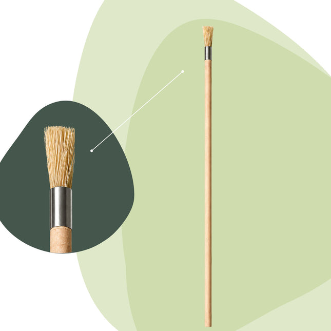 Planten terrariumborstel - Hout - 60 cm lang