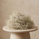 Natürliche Elemente (optional)