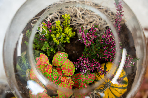 Mit natürlichen Elementen dekorieren