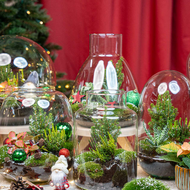 Evergreen Weihnachts-Terrarium – DIY Flaschengarten – Ø 17 cm ↑ 25 cm