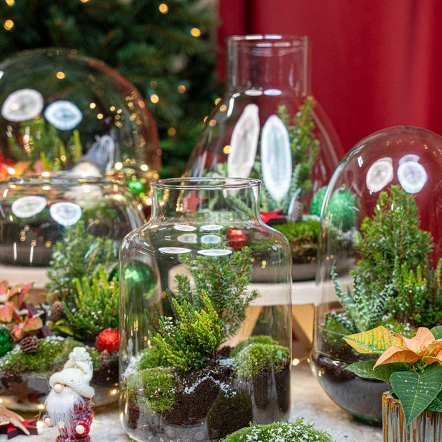 Cosy Weihnachts-Terrarium – DIY Flaschengarten – Ø 23 cm ↑ 26,5 cm
