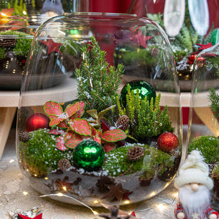 Rudolph Christmas terrarium - Bottle garden DIY kit - Ø 23 cm ↑ 25 cm