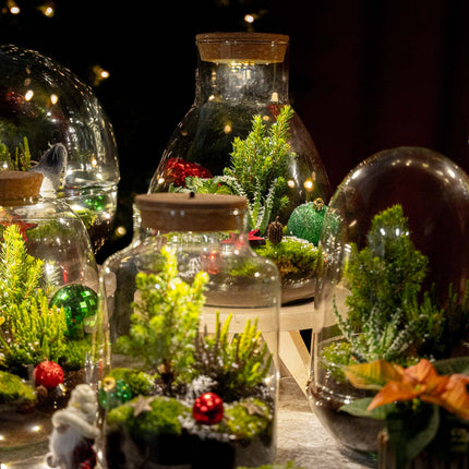 Evergreen - Weihnachts-Terrarium – DIY Flaschengarten – Ø 17 cm ↑ 25 cm