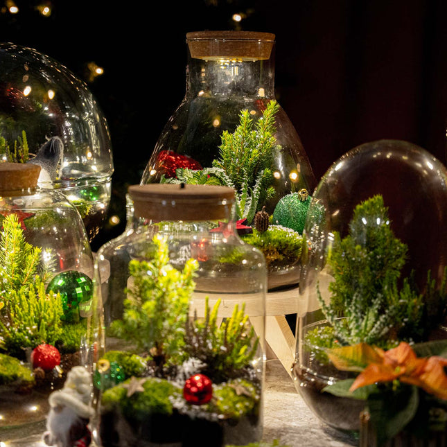 Berry Weihnachts-Terrarium – DIY Flaschengarten – Ø 19 cm ↑ 20 cm