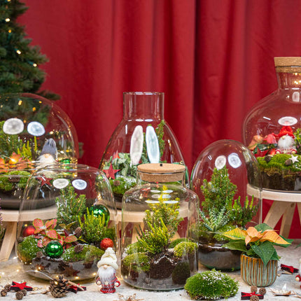 Tinsel Winter terrarium - Bottle garden DIY kit - Ø 19 cm ↑ 20 cm