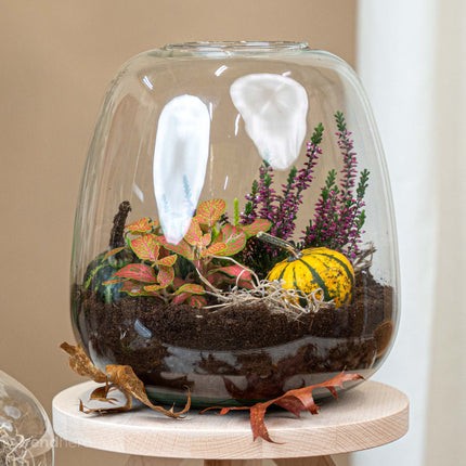 Emma Autumn – Glasflasche mit Herbstpflanzen und Mini-Kürbissen – Herbst Terrarium DIY-Set – Ø 23 cm ↑ 25 cm