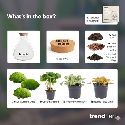 Father's Day terrarium Sam + Custom engraved cork with light - Bottle garden DIY kit - Ø 24.5 cm ↑ 30 cm