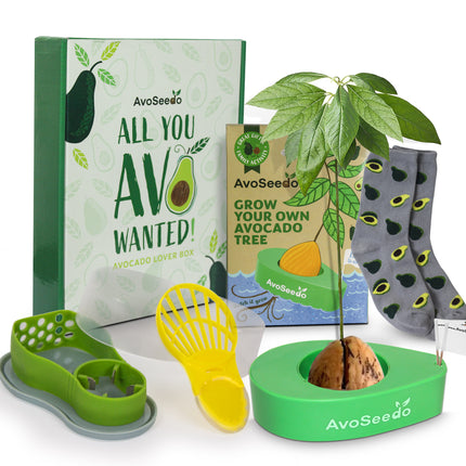 Avocado Lover Gift Box - AvoSeedo