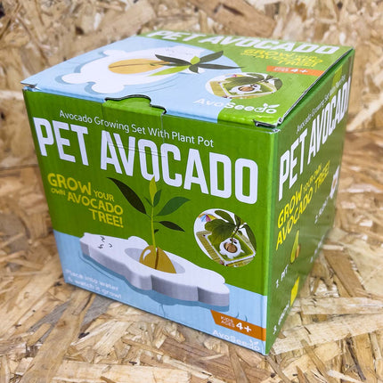 Avocado Grow Kit for Children - AvoSeedo
