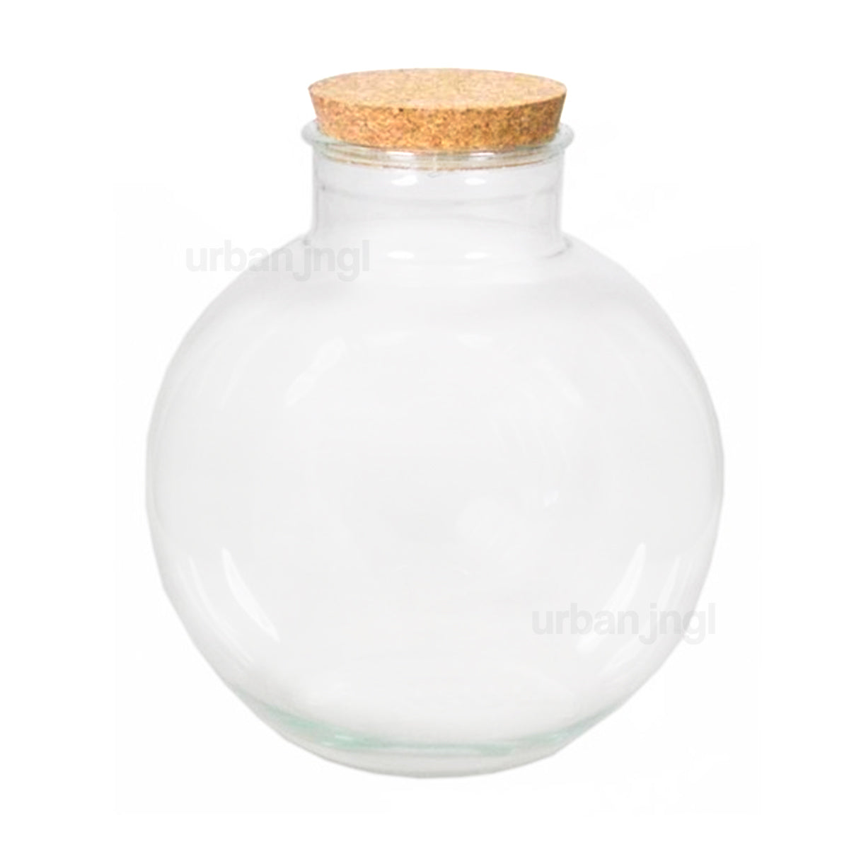 https://urbanjngl.com/cdn/shop/products/closed-terrarium-bottle-with-cork-lid.jpg?v=1659535708