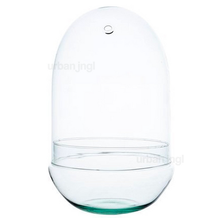 Egg XL 0 Glass bulb - Bell jar - Closed terrarium ↑ 30 cm