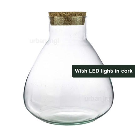 Terrarium with cork and led light - Sam Led - Closed terrarium  - Erlenmeyer ↑ 30 cm