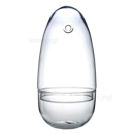 Egg - Glass bulb - Bell jar - Terrarium ↑ 25.5 cm
