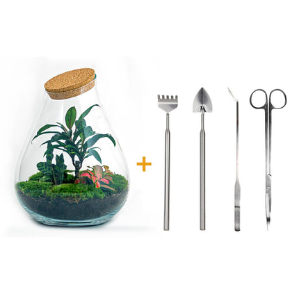 Flaschengarten • Drop XL Palme • Ökosystem mit Pflanzen im Glas • ↑ 37 cm