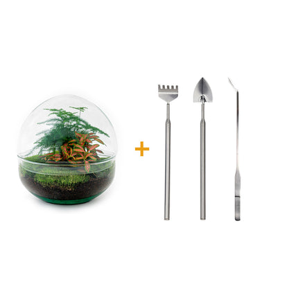 Planten terrarium • Dome Rood • Ecosysteem plant • ↑ 20 cm