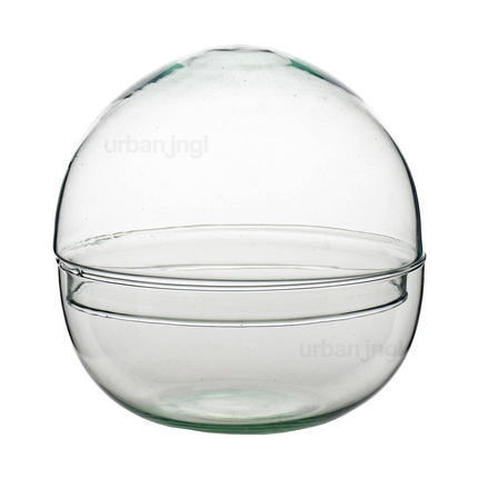 Kugelglas - Glasglocke - Geschlossenes Terrarium ↑20 cm