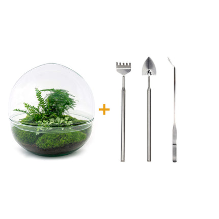 Terrarium DIY Kit • Dome XL • Ecosystem with plants • ↑ 30 cm