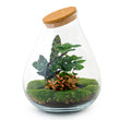 Flaschengarten • Drop XXL Rot • Ökosystem mit Pflanzen im Glas • ↑ 43 cm