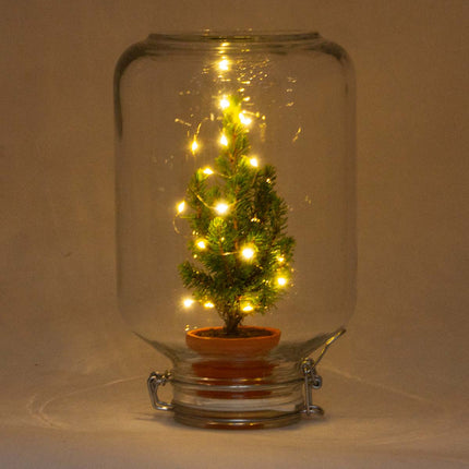 Easyplant - Kerst - Mini Kerstboom met licht - Plantenterrarium - ↑ 28 cm 