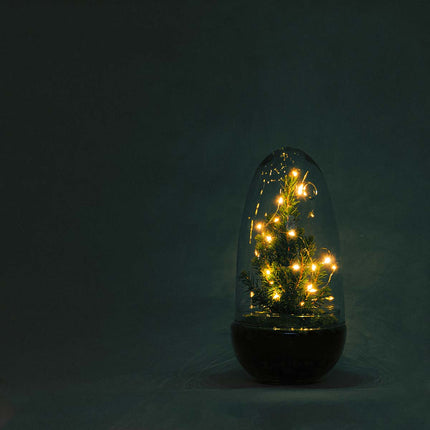 Egg Christmas - Plantenterrarium met kerstboom en verlichting - ↑ 25 cm