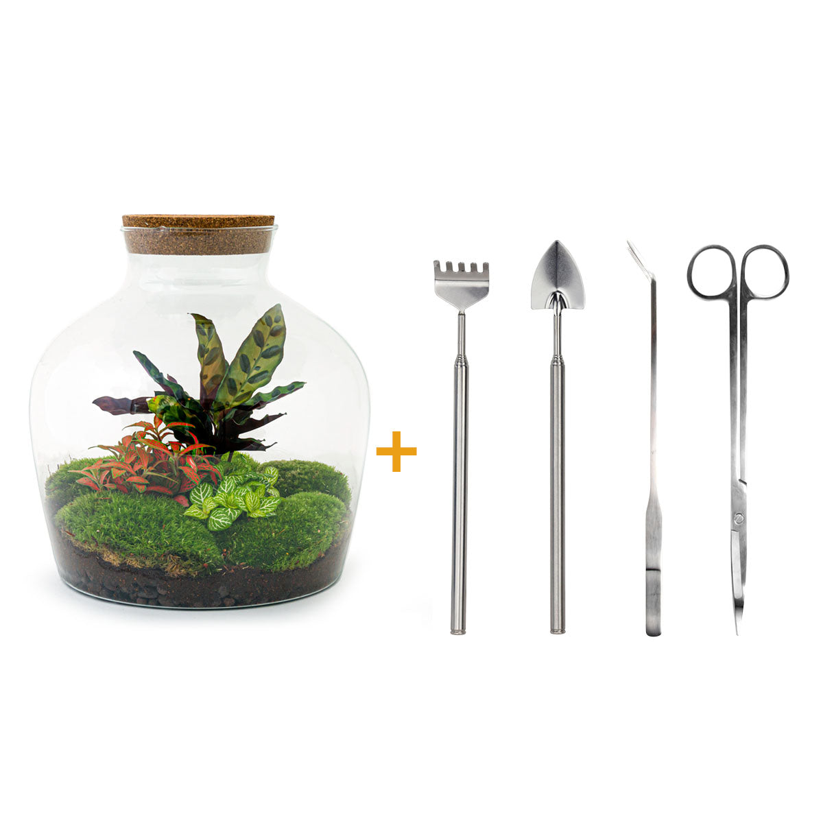 Terrarium Garden Kit