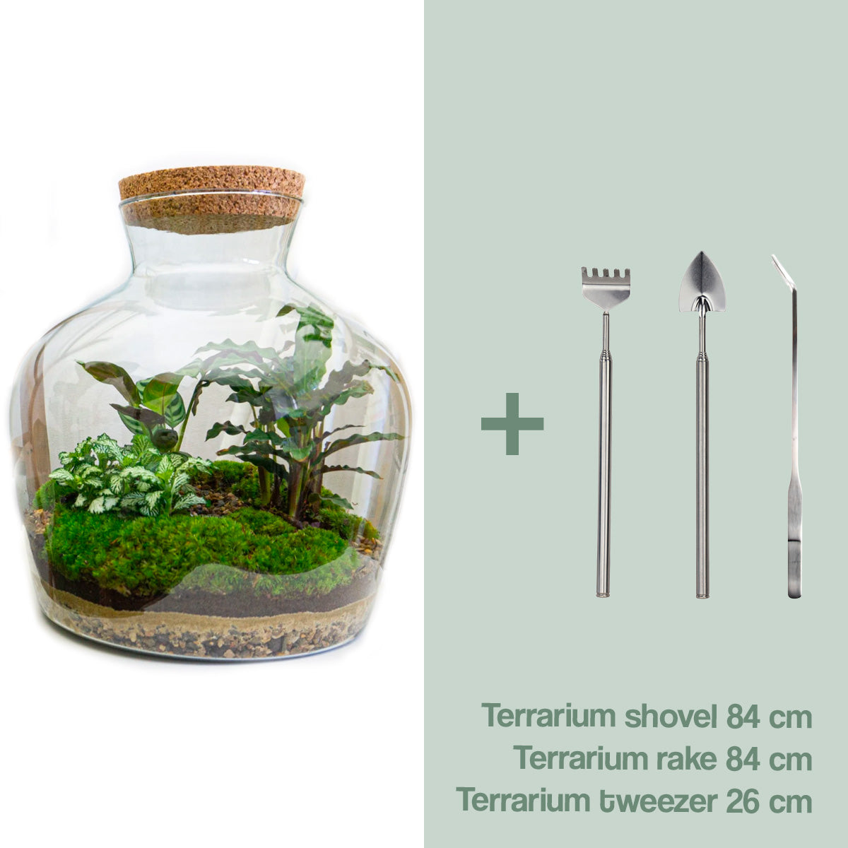 Terrarium et bouchon en liège à LED Ø 20,5 X 20 cm