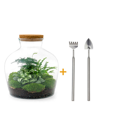 Planten terrarium • Fat Joe Green • Ecosysteem plant • ↑ 30 cm