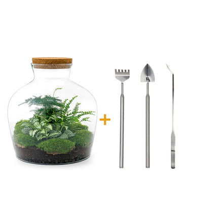 Terrarium DIY Kit • Fat Joe Green • Ecosystem with plants • ↑ 30 cm