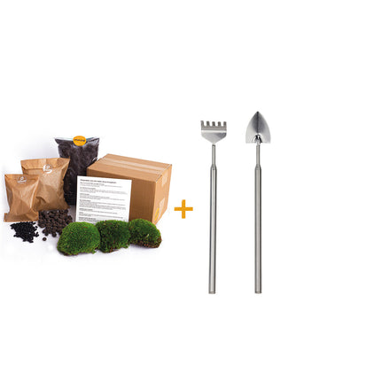 Planten terrarium pakket - Navul & Startpakket DIY terrarium - Mini ecosysteem plant