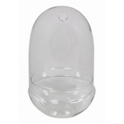 Egg glass terrarium 17,5 X 30 cm
