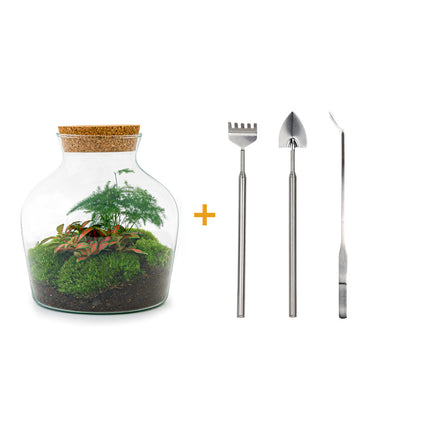 Terrarium DIY Kit • Little Joe • Ecosystem with plants • ↑ 21.5 cm