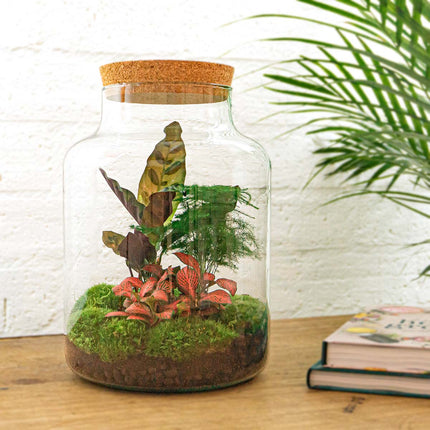 Terrarium DIY Kit • Milky • Ecosystem with plants • ↑ 30 cm