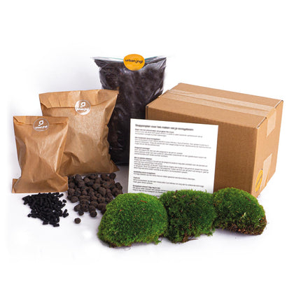Planten terrarium pakket - Navul & Startpakket DIY terrarium - Mini ecosysteem plant