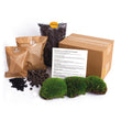 Terrarium package - Refill & Starter package - DIY terrarium refill kit
