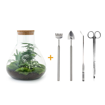 Planten terrarium - Sam XL - Ecosysteem met plant - ↑ 35 cm