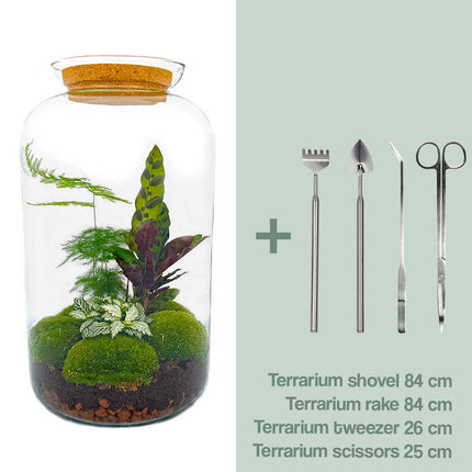 Kit DIY Terrarium • Botanique Sven XL • Écosystème avec plantes • ↑ 43 cm