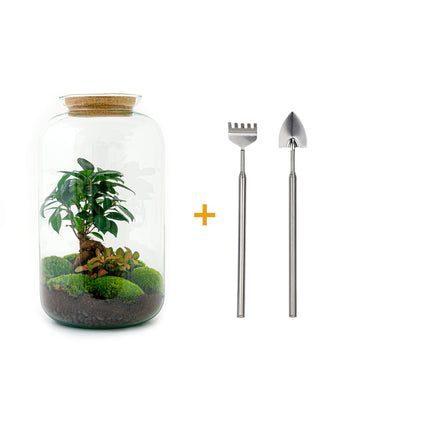 Flaschengarten - Sven Bonsai - Ökosystem mit Pflanzen - ↑ 43 cm