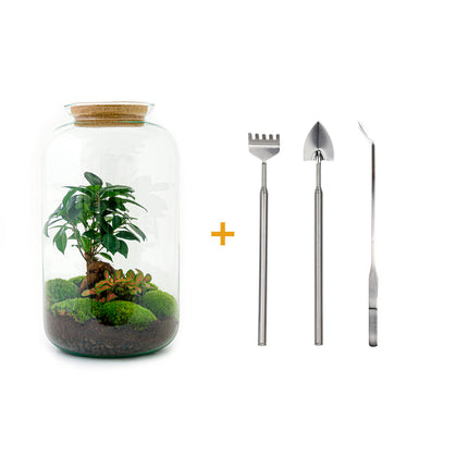 Flaschengarten • Sven Bonsai • Ökosystem mit Pflanzen • ↑ 43 cm