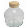 Bottiglia per terrario con sughero - Terrario chiuso ↑ 21,5 cm