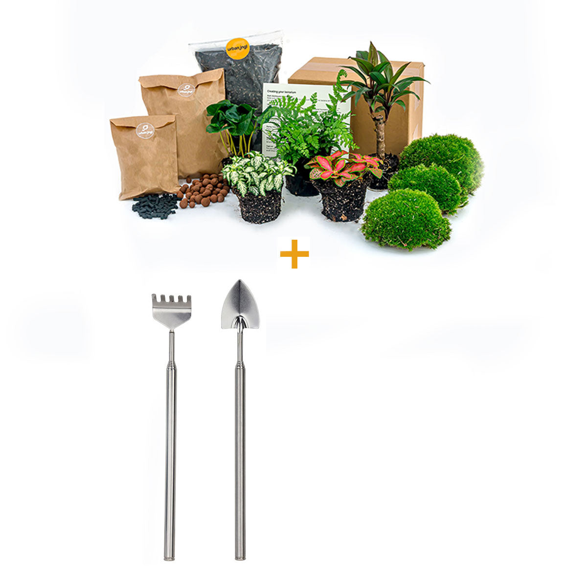 Terrarium Plants: How To Create Your Own Low-Maintenance Garden – Sprigbox