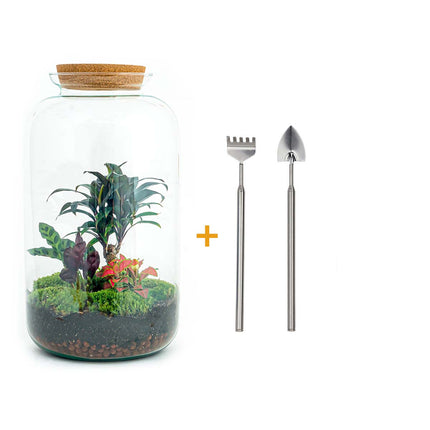 Flaschengarten • Sven XL Palme • Ökosystem mit Pflanzen im Glas • ↑43 cm