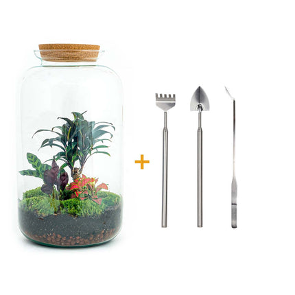 Flaschengarten • Sven XL Palme • Ökosystem mit Pflanzen im Glas • ↑43 cm
