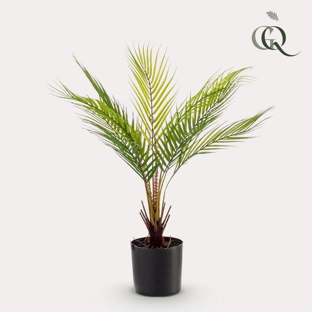 Chamaedorea - Mountain palm - 50 cm - Artificial plant